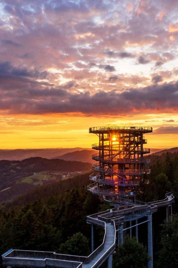 Chaletresort By S4Y ザンクト・エングルマール エクステリア 写真